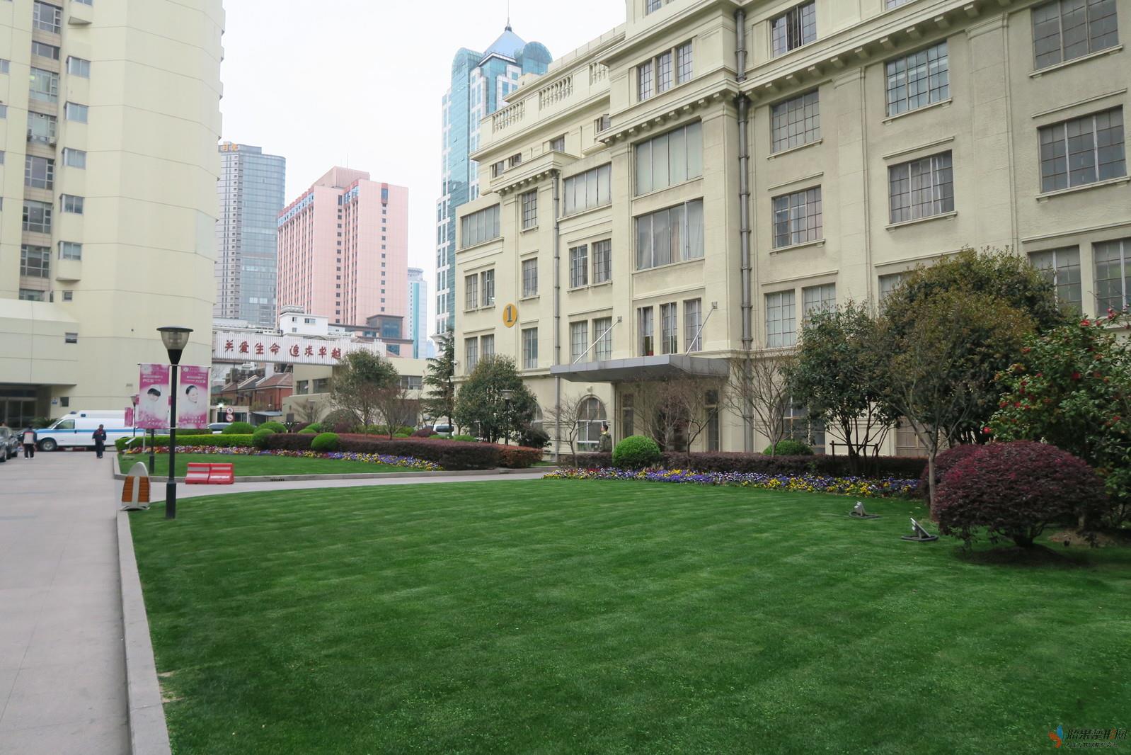 上海复旦大学附属华东医院